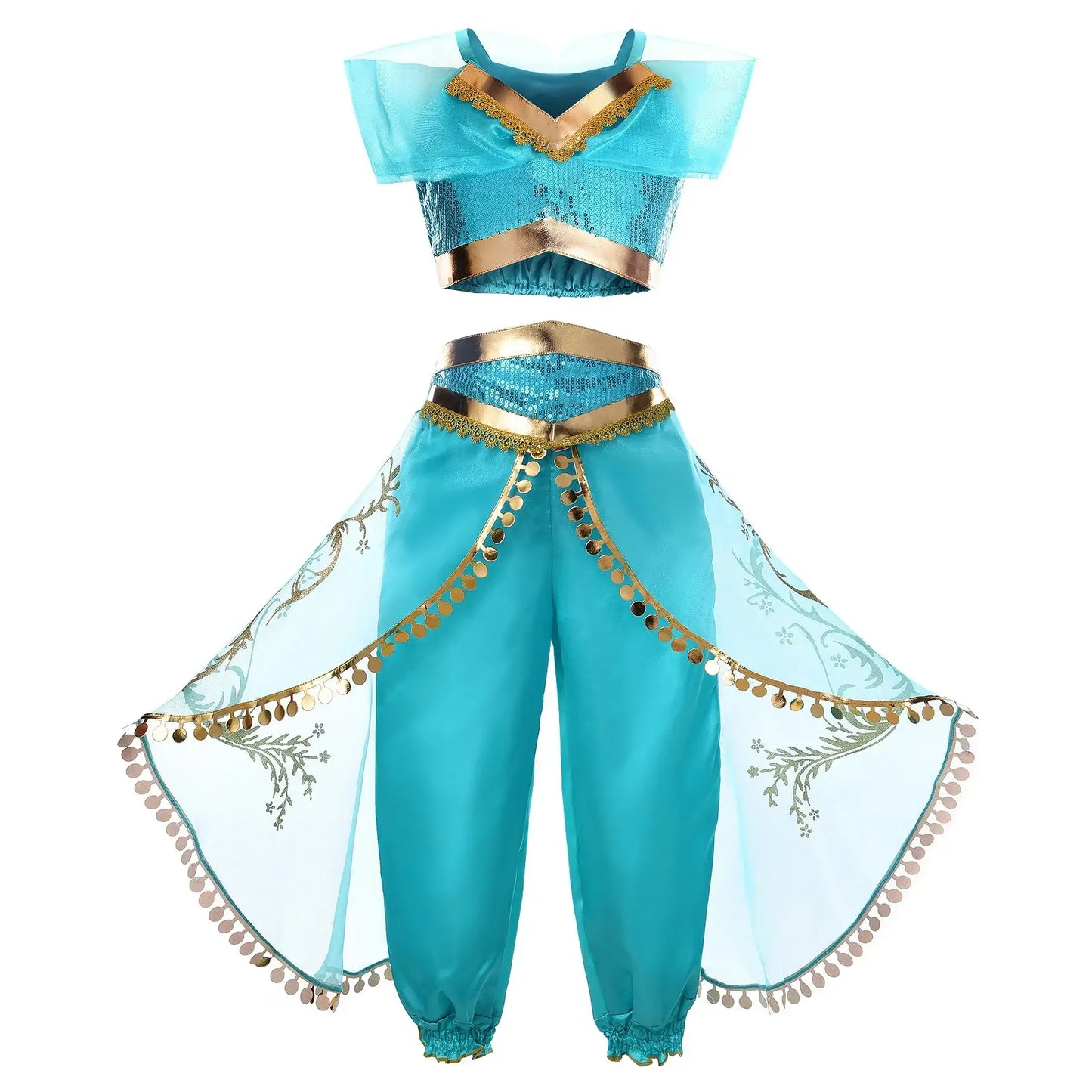 Disney Princess Jasmine Costume
