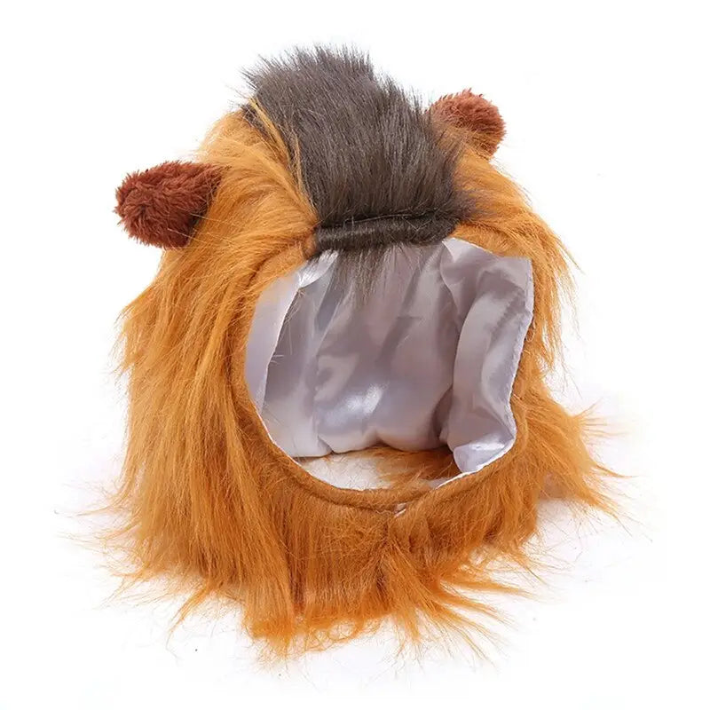 Boys' Beast Costume