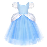 Cinderella Princess Blue Dress Costume