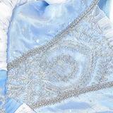 Cinderella Princess Blue Dress Costume