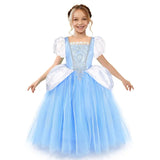 Cinderella Princess Blue Dress Costume