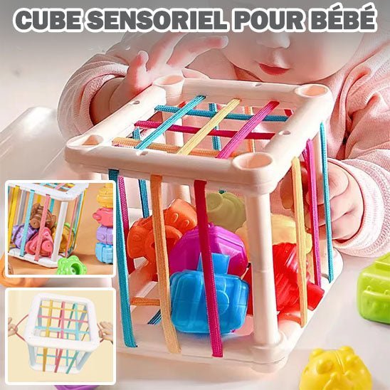 Sensory Cube I Sensorial Cube™