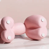 Modern Resin Balloon Dog Decoration