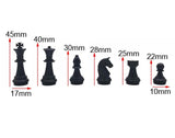 Jeu d'Échecs pour Débutant