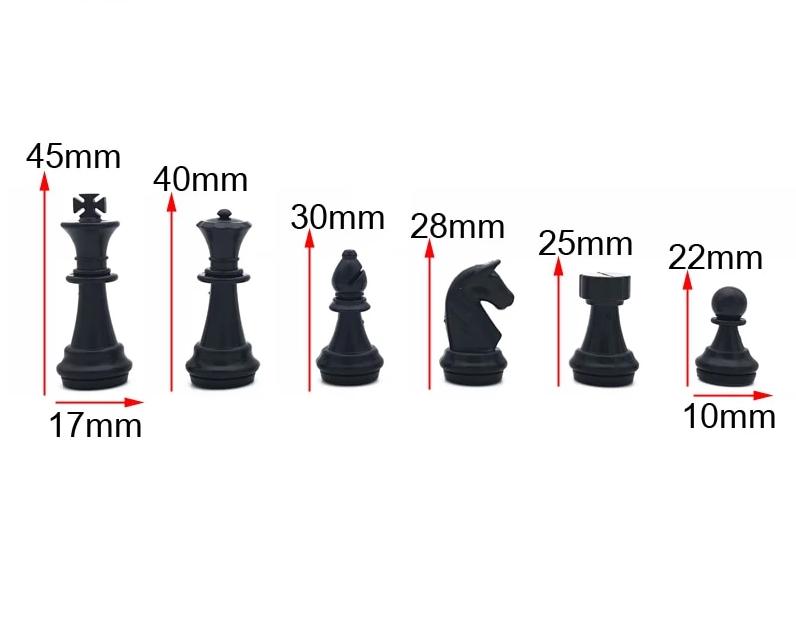 Jeu d'Échecs pour Débutant