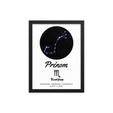 Tableau signe astrologique Scorpion