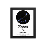 Quadro segno zodiacale Capricorno
