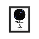 Tableau signe astrologique Scorpion