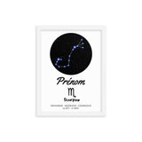 Tableau signe astrologique Scorpion