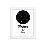 Tableau signe astrologique Cancer