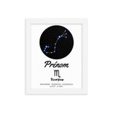 Tableau signe astrologique Scorpion