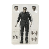Frankenstein Horror Action Figures