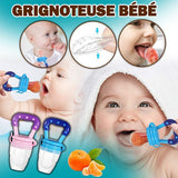 I Food Pacifier ™ Baby Nibbler