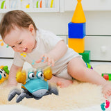 Jeu du crabe rampant - BABY CRAB