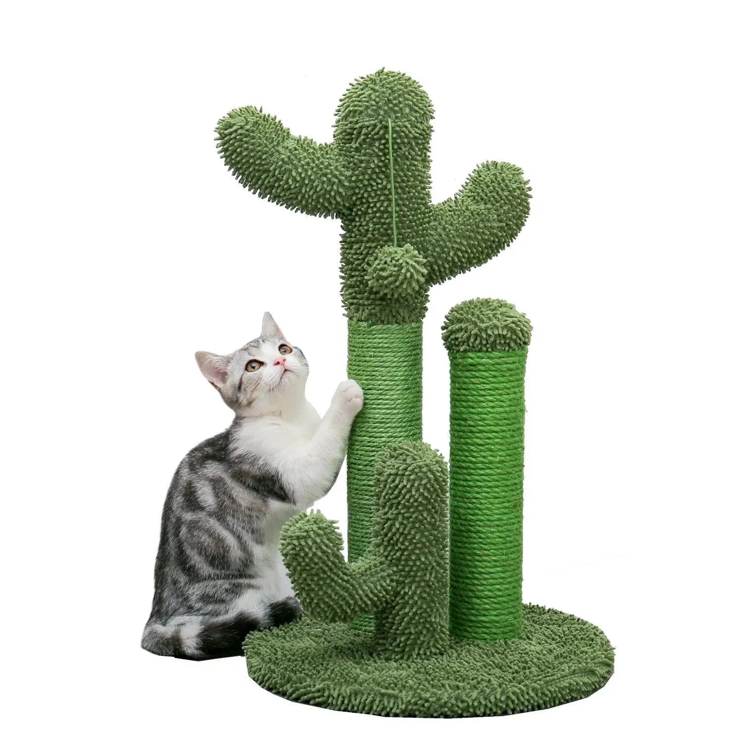 Arbre à chat cactus vert avec super construction solide en sisal et surface texturée pelucheuse pour griffades