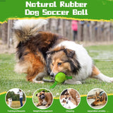 Dog toy Chew balls with straps