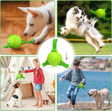 Dog toy Chew balls with straps