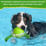 Dog toy Chew balls with straps