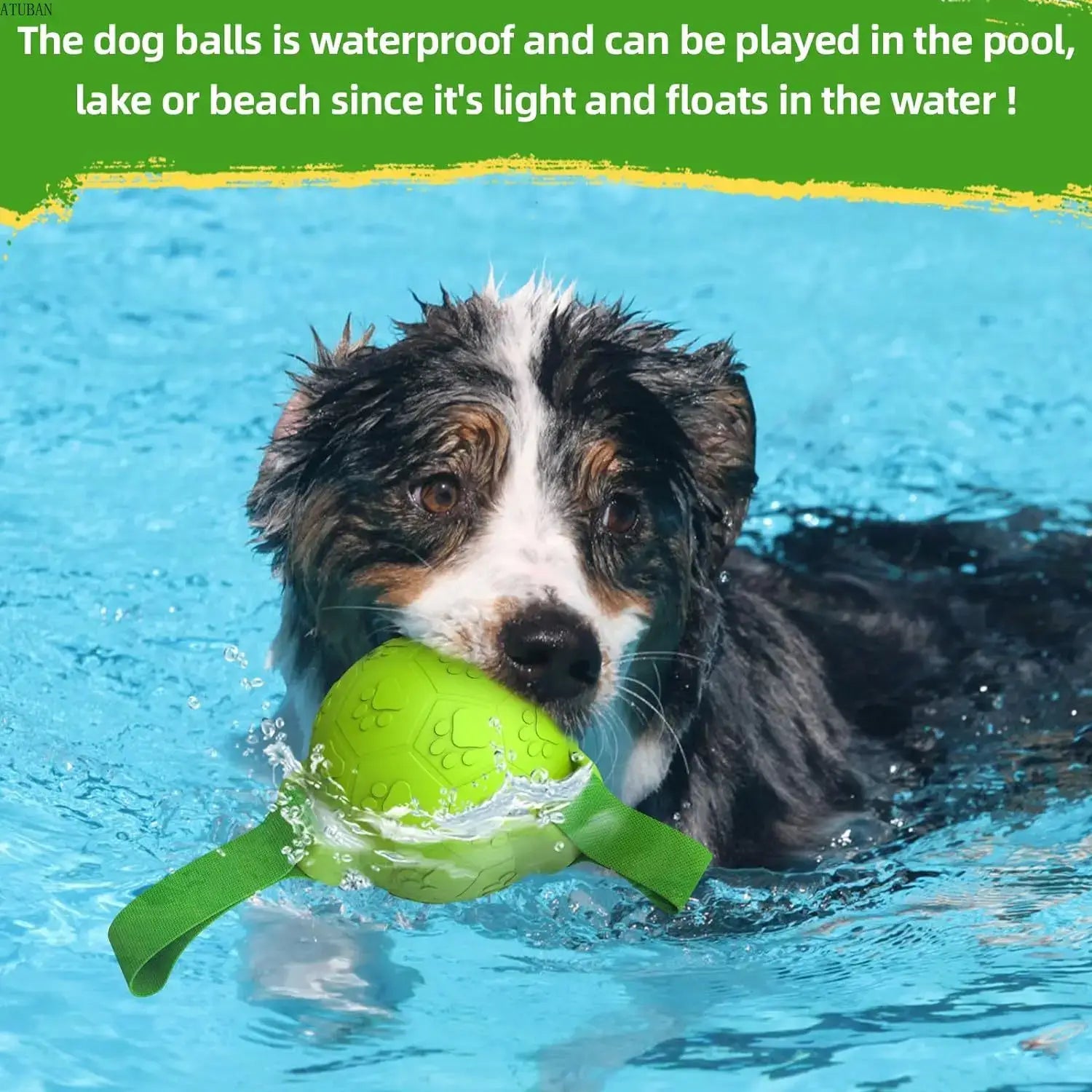 Dog toy Chew balls with straps