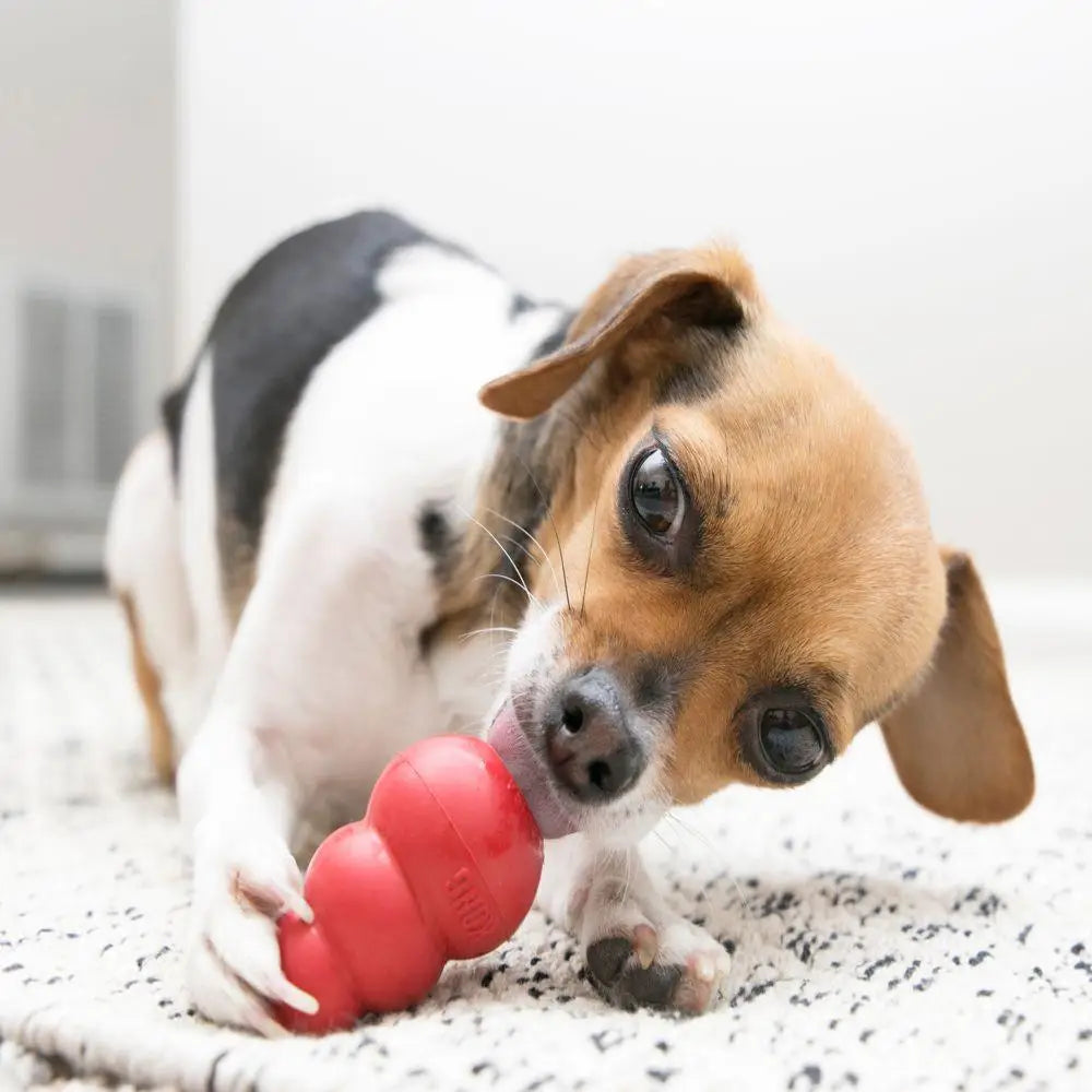 Kong Dog Toy