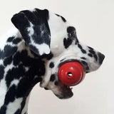 Kong Dog Toy