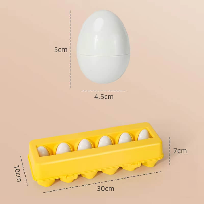 Montessori Eggs Toy - 12 Educational Eggs