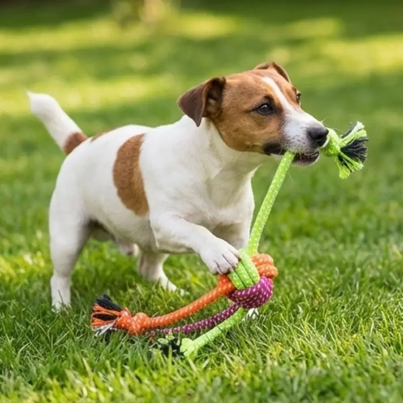 Dog chew rope toy