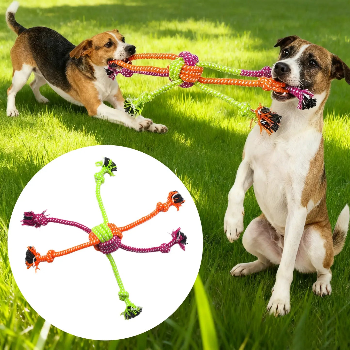 Dog chew rope toy