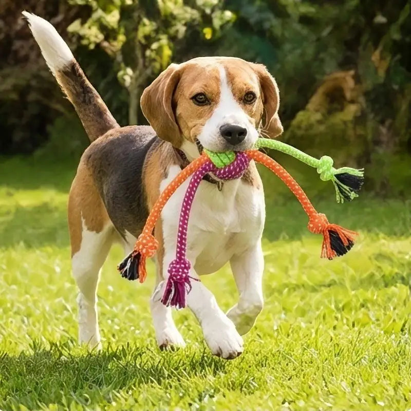 Dog chew rope toy
