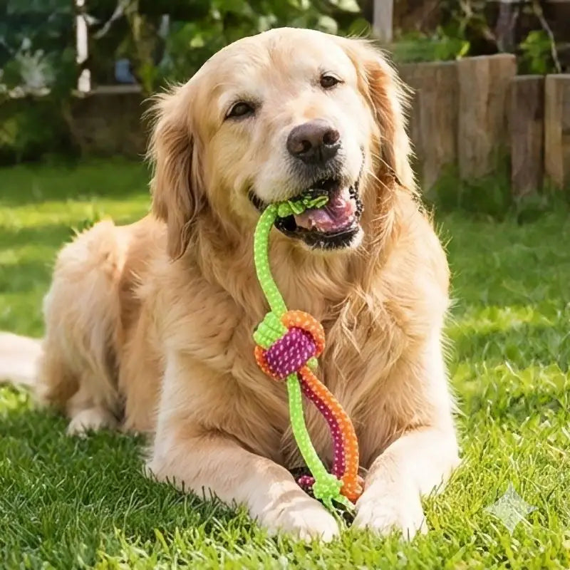 Dog chew rope toy