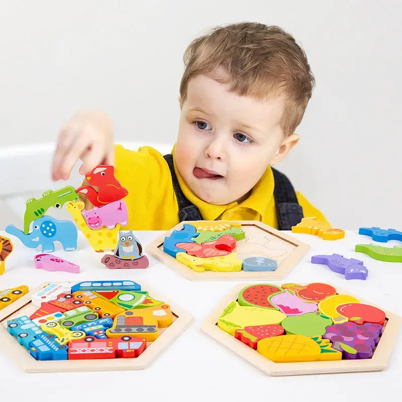 Wooden Puzzle Toy for Baby