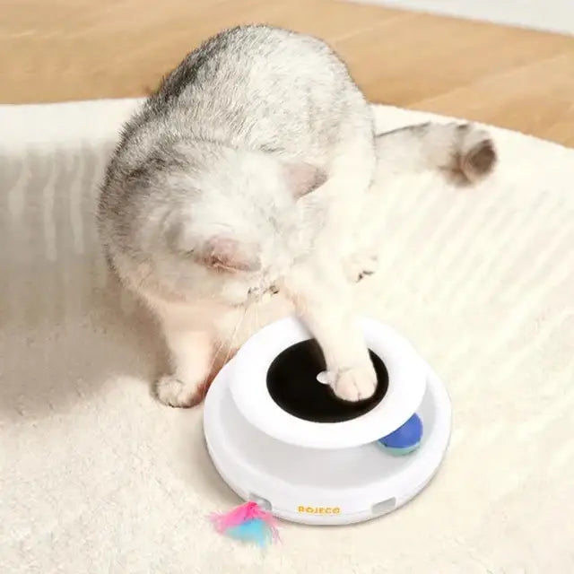 Giocattoli elettronici per gatti 2 in 1