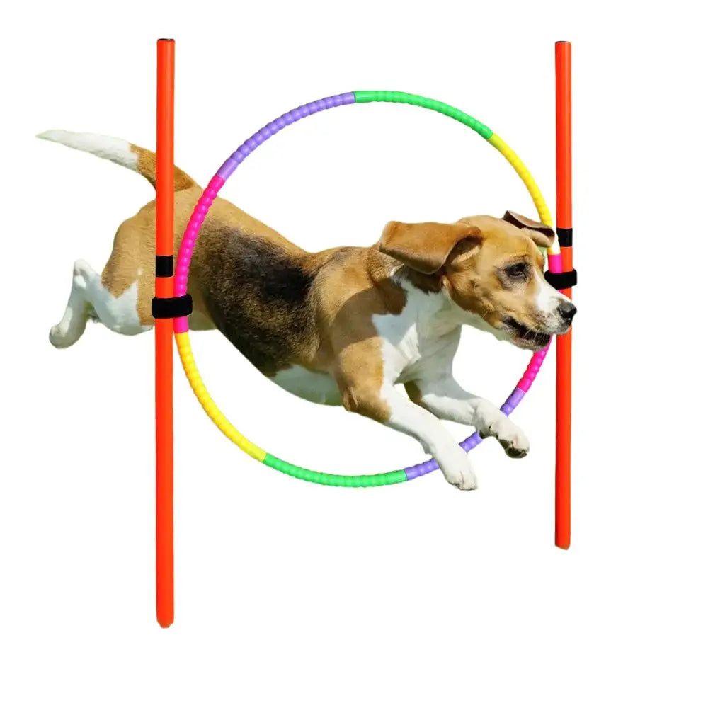 Dog Obstacle Kit