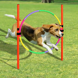 Dog Obstacle Kit