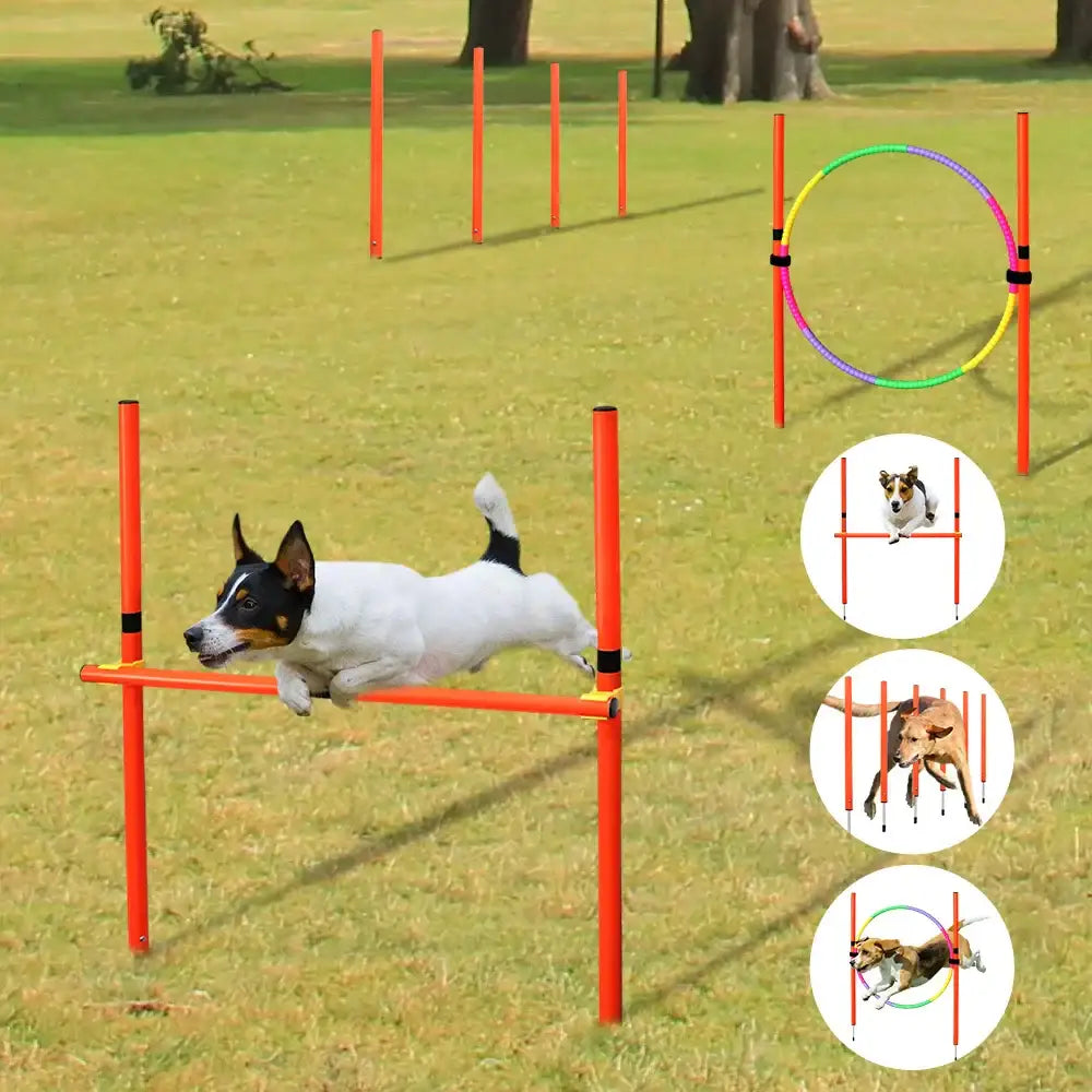 Kit obstacle pour chien avec hurdle orange vif à bandes noires et cerceau arc-en-ciel pour un parcours complet