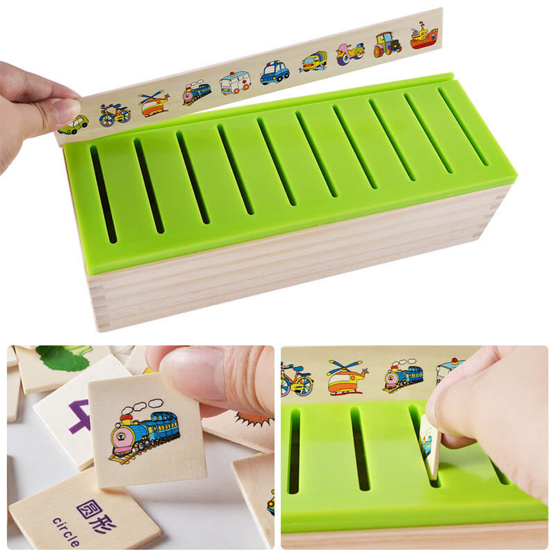 Montessori Boîte de Tri par Catégories (8 Thèmes de Connaissance)