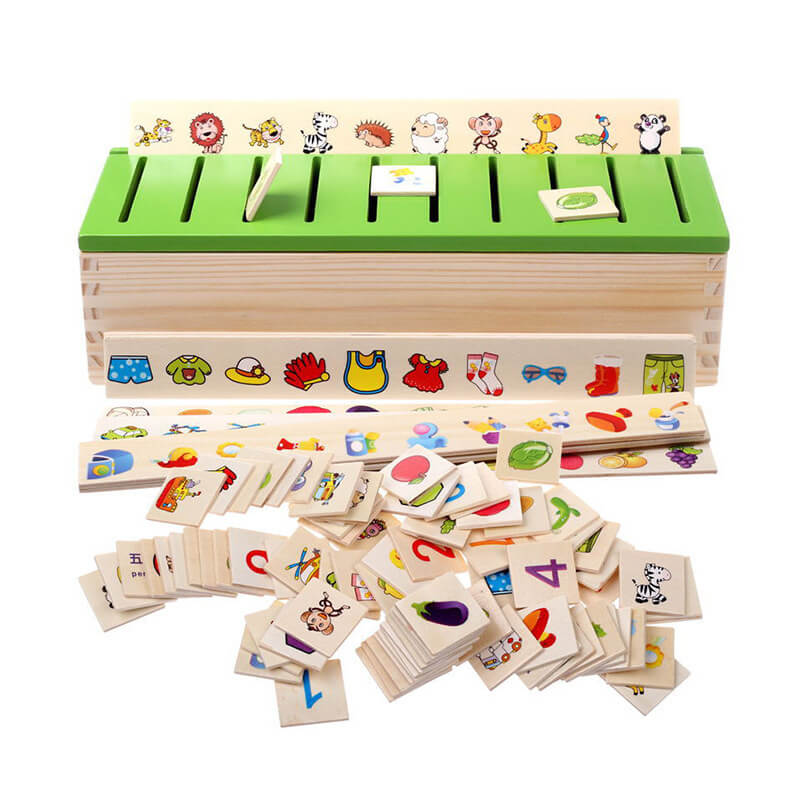 Montessori Boîte de Tri par Catégories (8 Thèmes de Connaissance)