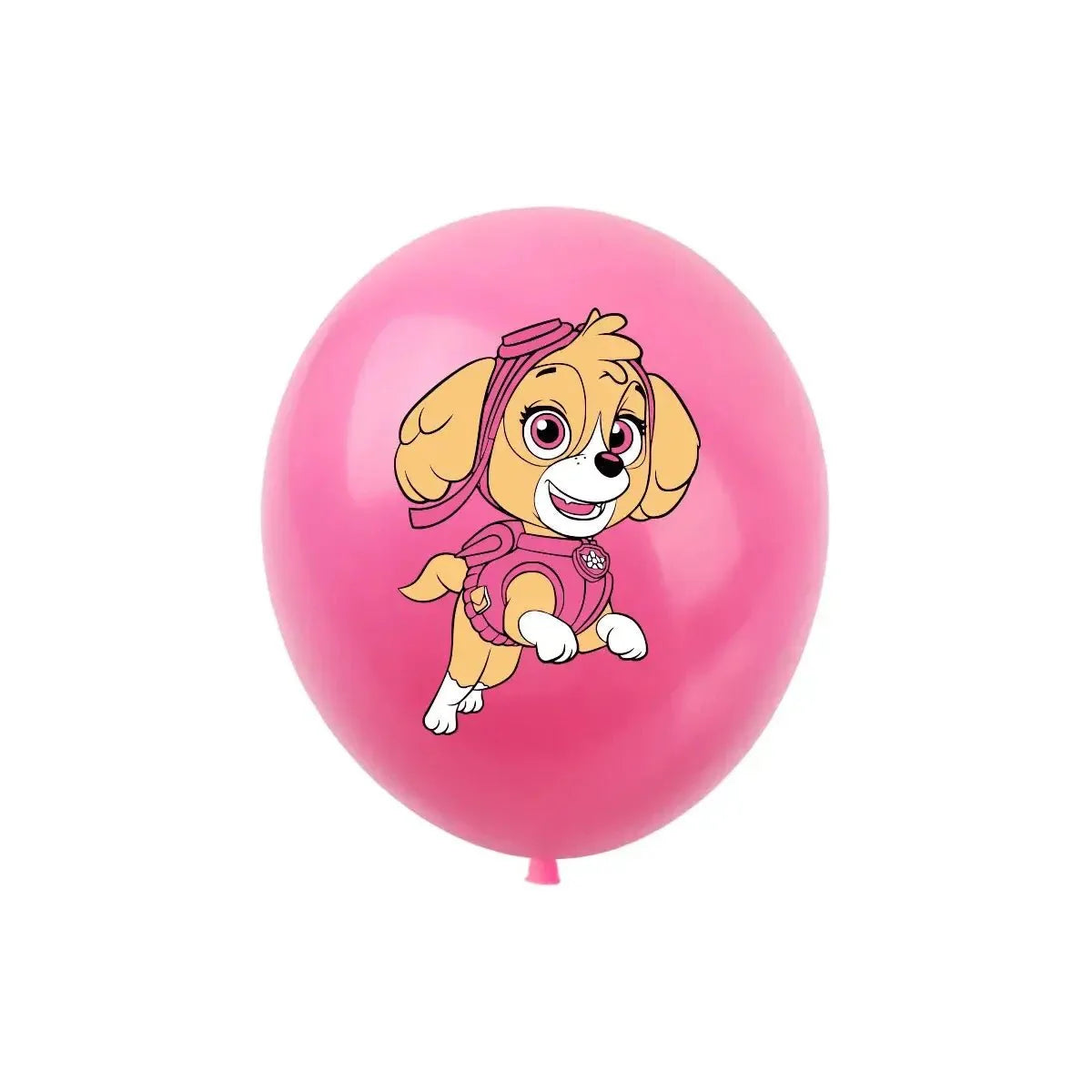 Lot of 10 Paw Patrol Balloons
