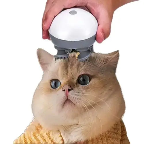 Electric cat massager