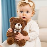Teddy bear | Teddy the bear
