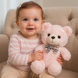 Teddy bear | Teddy the bear