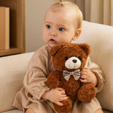 Teddy bear | Teddy the bear