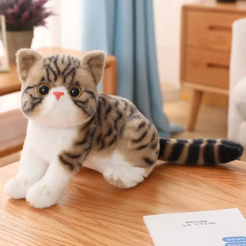 Peluche chaton kawaii avec peluche chat réaliste à rayures tabby brunes, poitrine blanche duveteuse et yeux noirs ronds