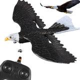 RC Glider Eagle Bird