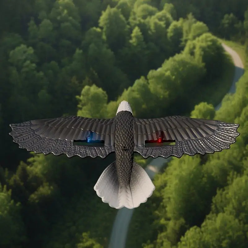 RC Glider Eagle Bird