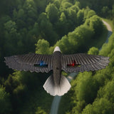 RC Glider Eagle Bird