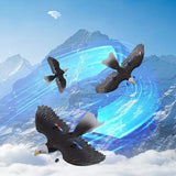 RC Glider Eagle Bird