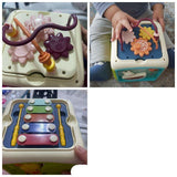 Baby Educational Cube
