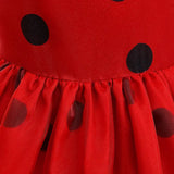 Ladybug Miraculous Costume Dress