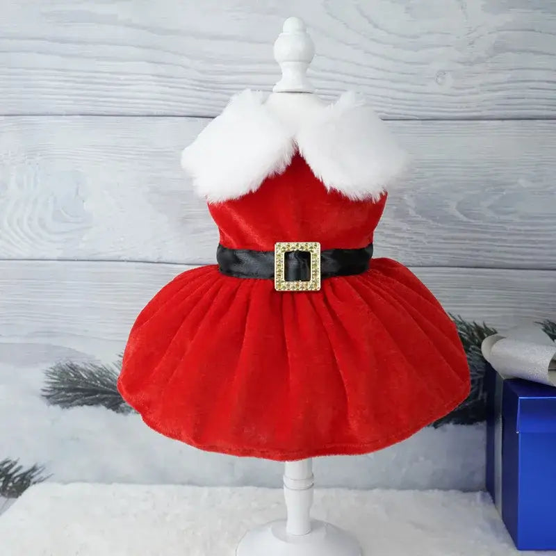 Robe de noël pour chienne en velours rouge avec col en fausse fourrure blanche et ceinture noire élégante pour fin d’année